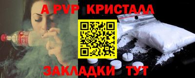 шишки Изобильный