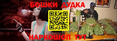 шишки Изобильный