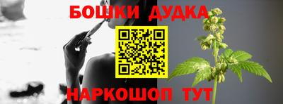 шишки Изобильный