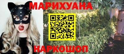 шишки Изобильный