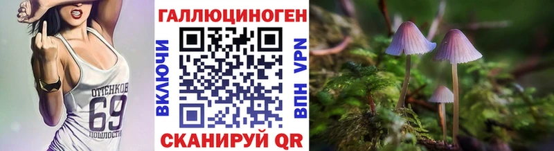 как найти наркотики  Михайловка  Галлюциногенные грибы GOLDEN TEACHER 