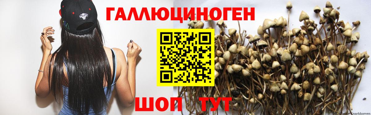 Галлюциногенные грибы GOLDEN TEACHER Михайловка